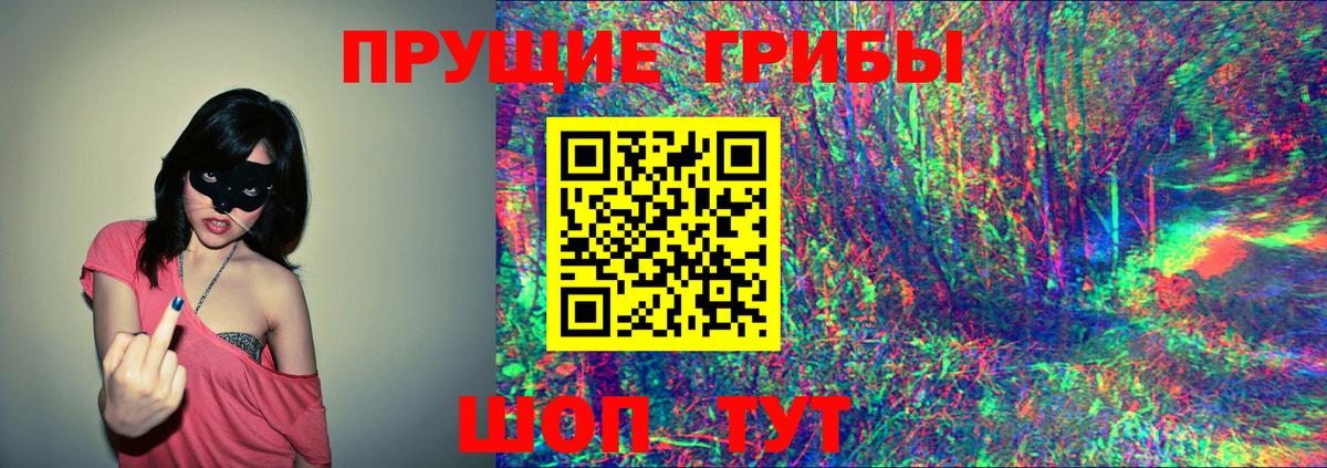 Галлюциногенные грибы Psilocybe  Вход с VPN  Псилоцибиновые грибы мицелий  Сегежа 