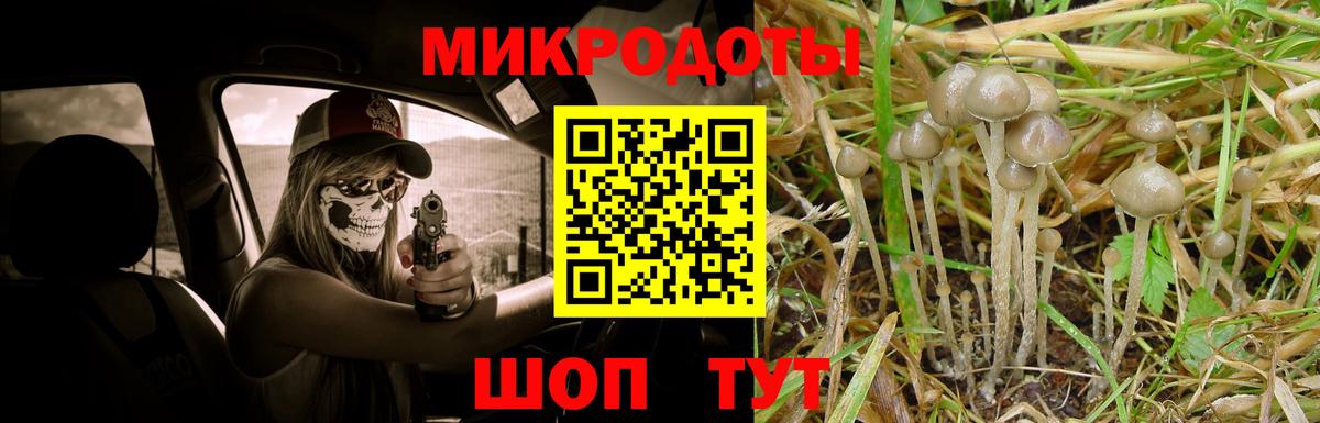 Псилоцибиновые грибы мухоморы Сегежа